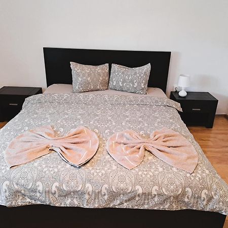 Penthouse Daniela - 3 Rooms In A Spacious Central Apartment Târgu-Mureş Exterior foto
