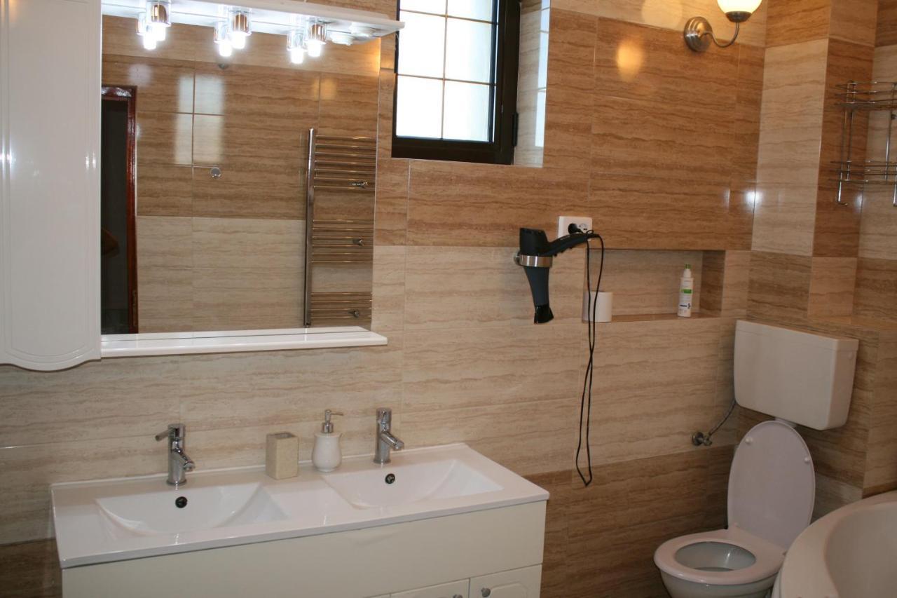 Penthouse Daniela - 3 Rooms In A Spacious Central Apartment Târgu-Mureş Exterior foto