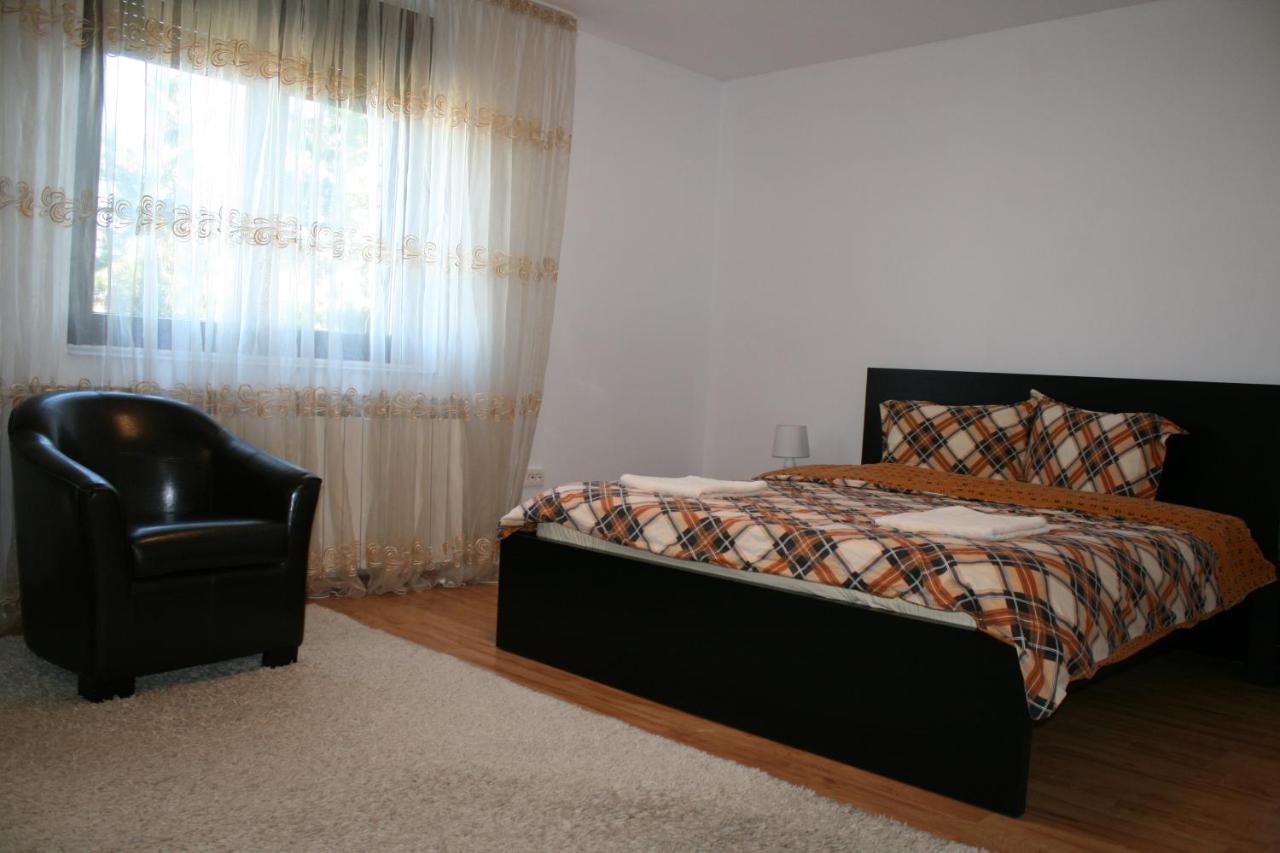 Penthouse Daniela - 3 Rooms In A Spacious Central Apartment Târgu-Mureş Exterior foto