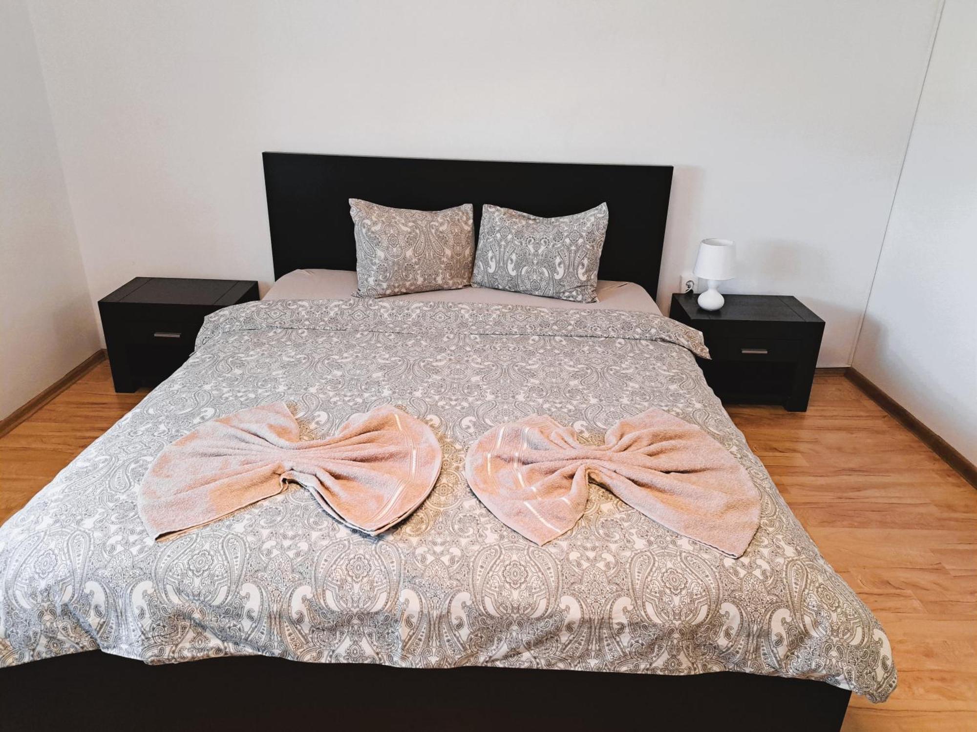 Penthouse Daniela - 3 Rooms In A Spacious Central Apartment Târgu-Mureş Exterior foto